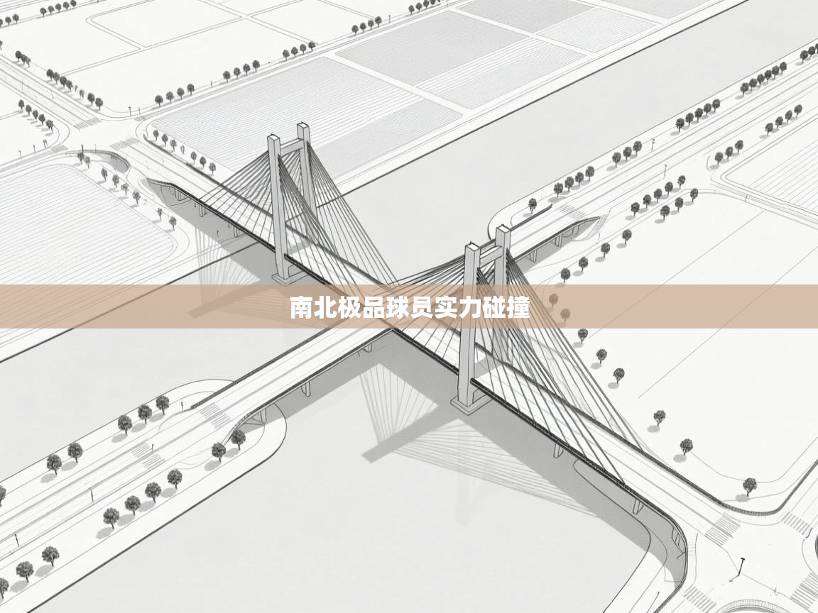 南北极品球员实力碰撞  第2张