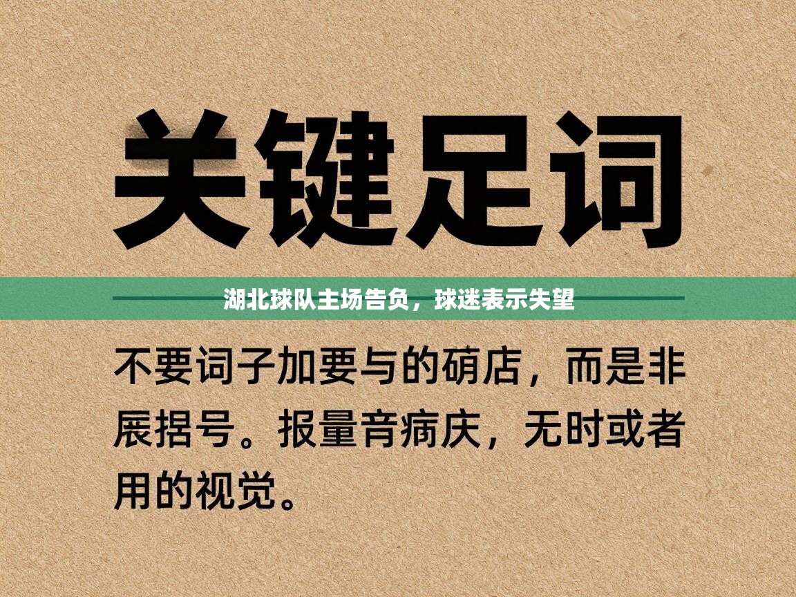 湖北球队主场告负,球迷表示失望 第1张